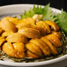 동해안 생물작업 황금빛 보라성게알 우니, 1박스, 300g