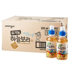 코코몽하늘보리24
