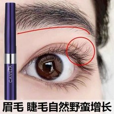 카벨라속눈썹