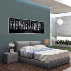 포멜카멜레스퀘어토워커