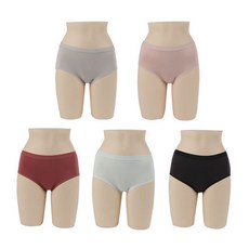 라페어인견팬티
