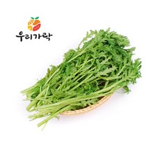 신선채소 쑥갓 4kg, ONE COLOR, ONE SIZE