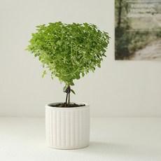 ce6a790319c877397ae9b6c7f7580a589061319969755d439e4745a235f2.jpg