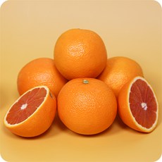 프리미엄 상위1% 카라카라오렌지 고당도 정품, 1개, 카라카라 오렌지 (중과 40과)