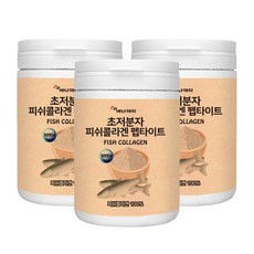 초저분자피쉬콜라겐 펩타이드 230gx3 초저분자 피쉬콜라겐 콜라겐, 230g, 3개