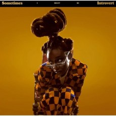 [CD] Little Simz (리틀 심즈) - 4집 Sometimes I Might Be Introvert