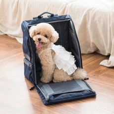  프로젝트21 눕눕백 (강아지 이동장 레귤러 스크래처 이동가방 캐리어 백팩 병원 산책), 점보, 방수 패드 