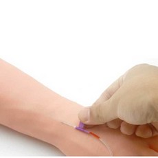 링겔 연습 키트 정맥 혈관 간호사 실습 팔 링거 채혈, KS1, 1개