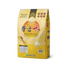 김제만기타