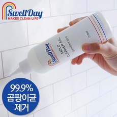 스웰데이 곰팡이제거제 250ml 4개 홈스웰