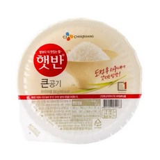 cj제일제당 큰 햇반 300g x 10개
