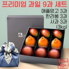 설 명절 선물용 프리미엄 과일 선물세트 9과 제주한라봉 국산부사 사과 애플망고, 1박스
