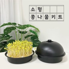 슬기로운콩나물키트