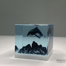 이상한변호사우영우고래