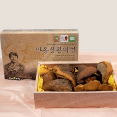 상황버섯 목질진흙 버섯 상항 약용 상목이 선물 설 예단 시명절 건강 선생님 최상품, 1개
