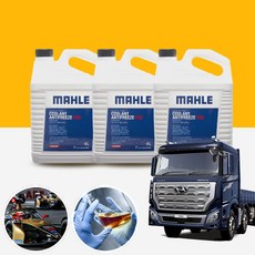 엑시언트 말레 롱라이프 원액 사계절 부동액 4L(레드), 1개, 4L