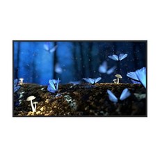 삼성 더프레임 QLED TV KQ65LSA03AFXKR 스탠드형 무배상품 ..