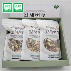 잎새버섯