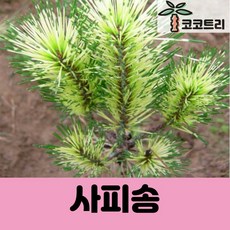 a72aa53ab72b9f1734ac58a07db9fbfb0bb5f662147ea976aadc973c7a2e.jpg