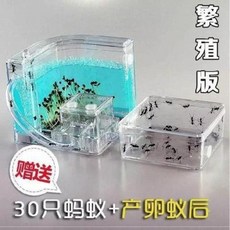 a79791e4ae254a548e0b231a694350aeb408a9d8f822a9746c2040ebc99b.jpeg
