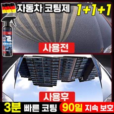 독일 1/1+1/2+2 자동차 코팅제 광택 제 물왁스 유리막코팅제 세차용품 차량용, 3개, 500ml
