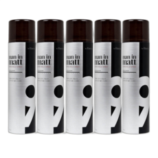 엘라스틴 맨인매트 헤어 스프레이 200ml x 5 Elastine Man In Matt Hair Spray 11203584, 5개