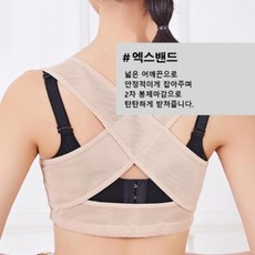 가슴업보정