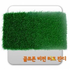 골프존홈비전