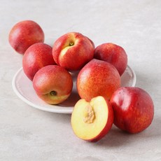 냉동블루베리칼로리