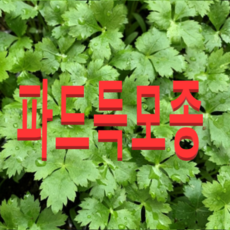 d25d4f171476c1eb8b622e3b64611d5b8050167458d36e98004ad766b72d.png