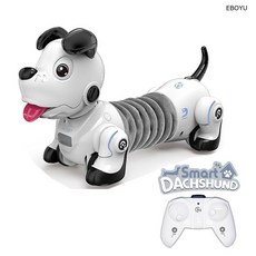 닥스훈트로봇인형