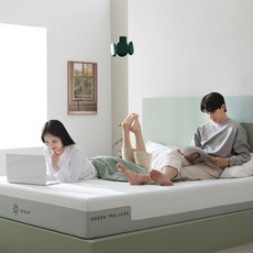 지누스그린티