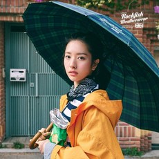 락피쉬장우산