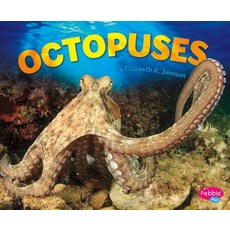 Octopuses Hardcover, Capstone Press