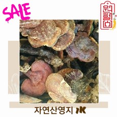 원헬스 야생 자연산 영지버섯 1K 국내산 영지버섯 100% 국산영지버섯 정품진품 특산품 건조영지 original mountain 4시이전 결제시 당일발송, 1개