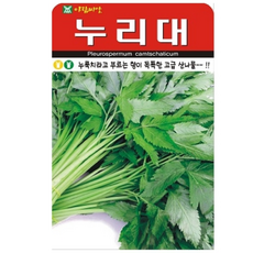 향이 독특한 고급 산나물 누리대 누룩치 20립, 1개