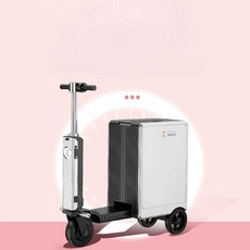 비브(VIVE) 전동캐리어 알루미늄 항공 캐리어