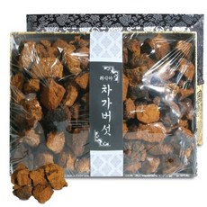 프리미엄 최상급 효도 명설선물 차가버섯 300g, 1개