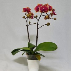 c960352d7d7ca76487b088862e42a1cef7c37b98193feb6db2d9c9aa930d.jpg