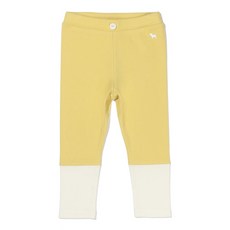 블루독컬러블록