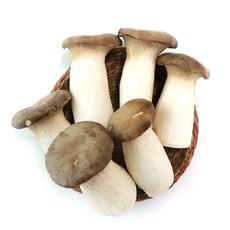 [농협] 친환경 새송이버섯 400g, 1봉