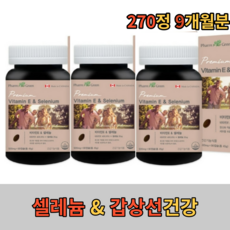 티베이직셀레늄