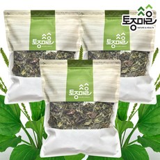 [토종마을] 국산 질경이(차전초)300g X 3개