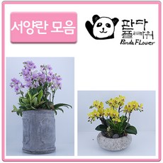 20d30e0075b35732f67de576f257776f39e9932eff6389a0be0c6131ed96.jpg