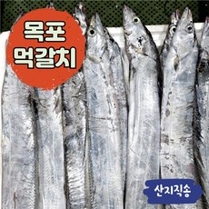 목포 갈치 생물 먹갈치 실속형(10마리 2kg) 가정용(5마리 1.4kg)