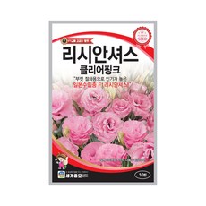 리시안셔스 TOP01