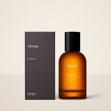 이솝이더시스 TOP01