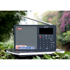 TECSUN 덕생 ICR110 카드꽂이 노년 인 녹음함 MP3 휴대용트 반도체 음향 x2개, 레드 표기함 _USBC타입충전기 _8