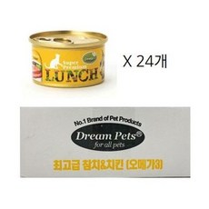 할시온런치2