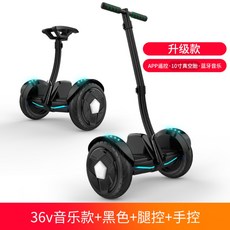 원몽드 전동휠 호버보드 나인봇, O, 36V